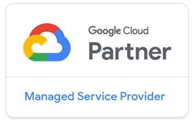 Google Cloud Partner Managed Service Provider