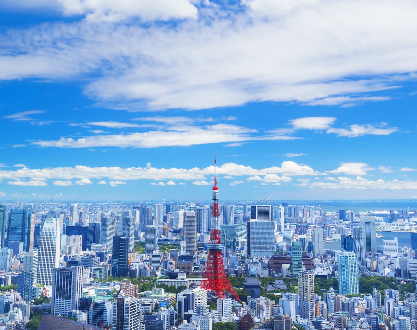 本社から見える景色: 東京タワーを中心とした東京都港区の風景