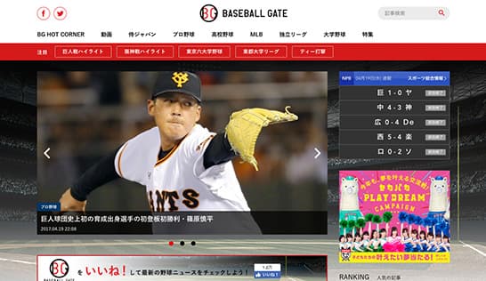 BASEBALL GATE