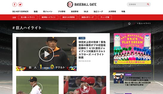 BASEBALL GATE