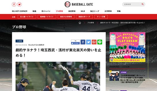 BASEBALL GATE